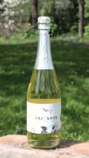 Frizzante Pinot weiß vom Weinhof Anderl