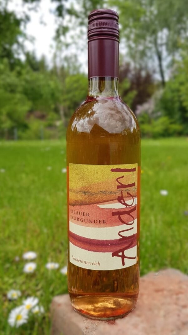 Blauer Burgunder Rose vom Weinhof Anderl