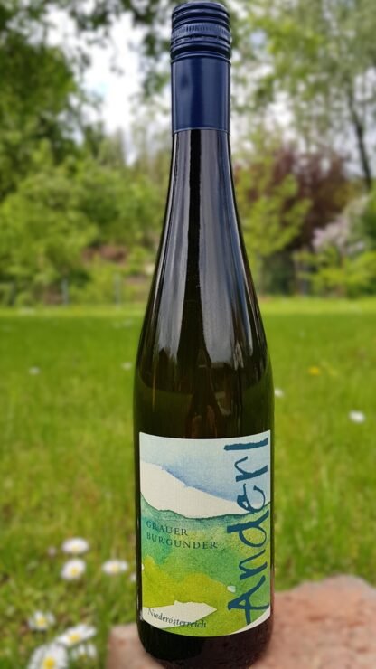 Grauer Burgunder vom Weinhof Anderl