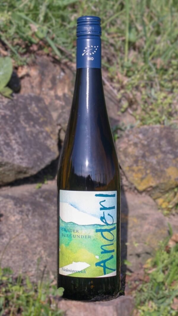 Bio Grauer Burgunder vom Weinhof Anderl
