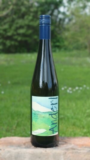 Grüner Veltliner Reserve 2017 vom Weinhof Anderl