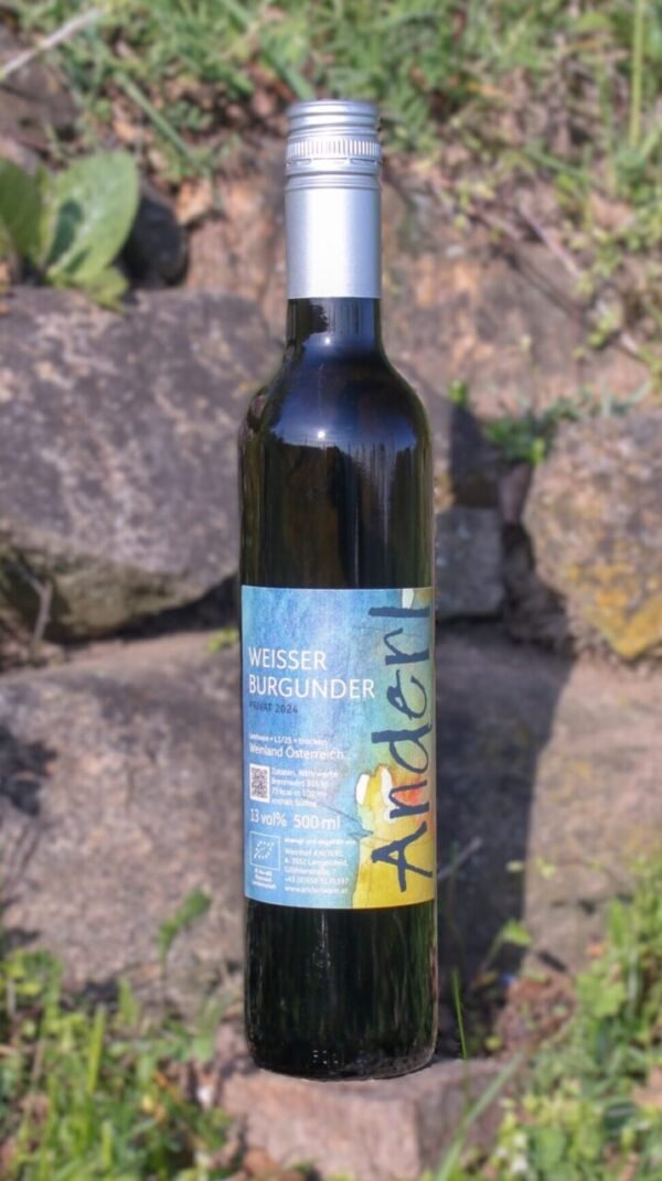 Weisser Burgunder Privat 2024 vom Weinhof Anderl