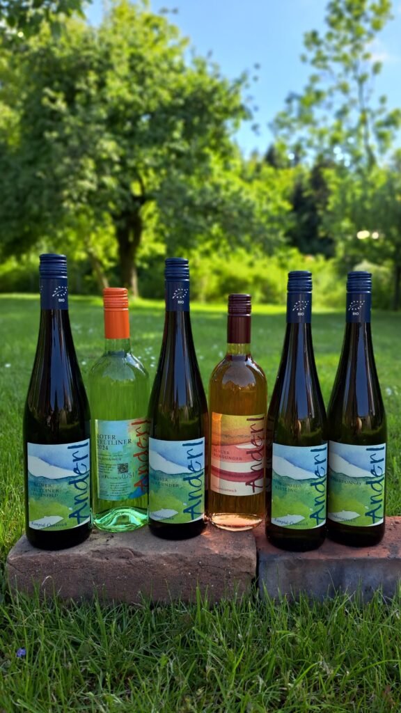 Weinpaket bunte Vielfalt 2024