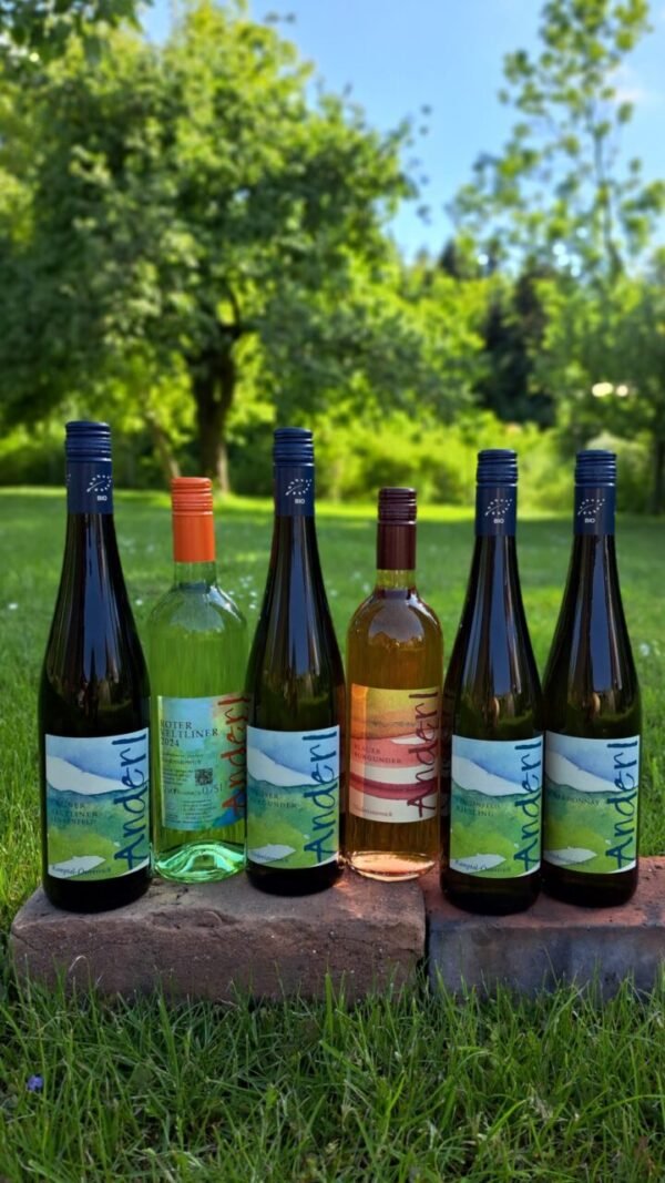Weinpaket bunte Vielfalt 2024