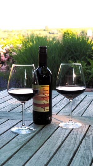2 Gläser mit Rotwein vom Weinhof Anderl