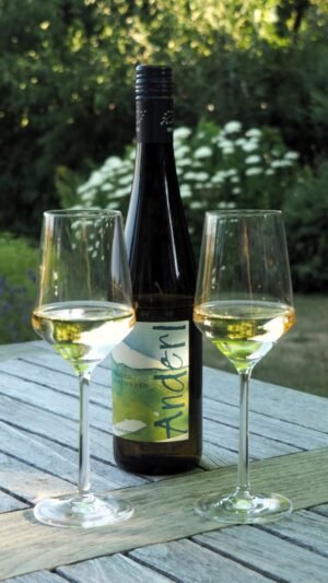 2 Glaser mit Weißwein vom Weinhof Anderl