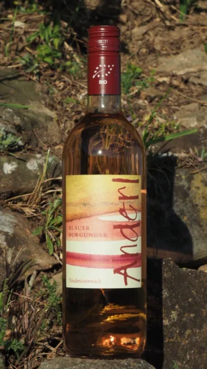 Bio Blauer Burgunder Rose 2025 Weinhof Anderl aus Lengenfeld im Kamptal