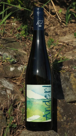 Flasche Bio Grüner Veltliner Kamptal DAC 2025 vom Weinhof Anderl