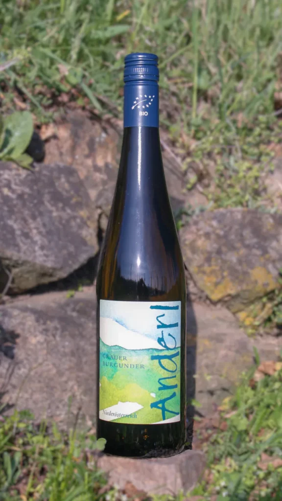 Bio-Wein aus dem Kamptal online kaufen – direkt vom Familienweingut Weinhof Anderl. Entdecken Sie Grüner Veltliner, Riesling, Frizzante, Rotwein und Weinpakete aus Lengenfeld bei Langenlois.