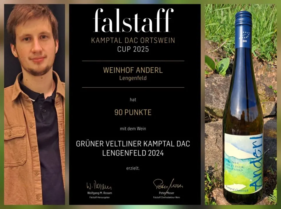 Hannes Anderl Grüner Veltliner Ortsweinsieger Lengenfeld Kamptal DAC