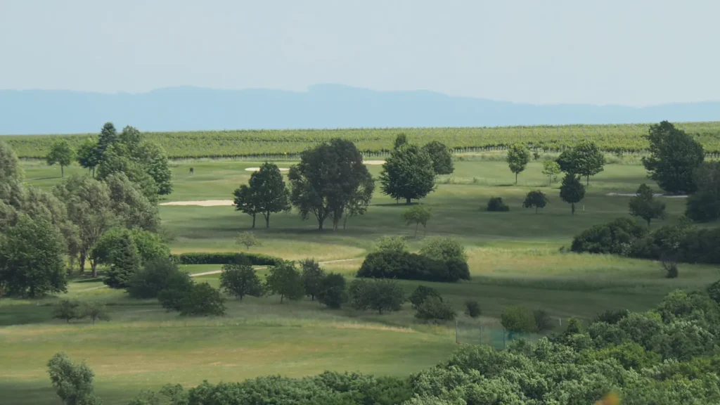 Blick auf den Golfplatz zwischen den Weingärten in Lengenfeld im Kamptal