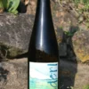 Flasche Bio Grüner Veltliner Lengenfeld Kamptal DAC 2024 vom Weinhof Anderl