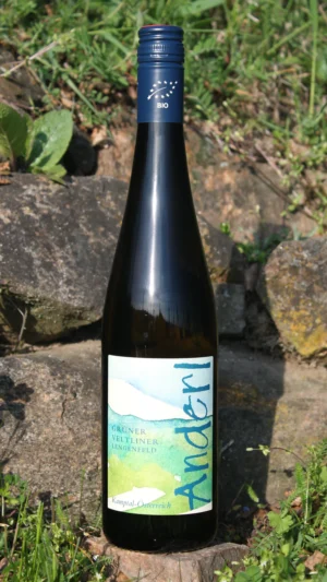 Flasche Bio Grüner Veltliner Lengenfeld Kamptal DAC 2025 vom Weinhof Anderl