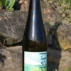 Bio Riesling Kamptal DAC 2024 – Weinhof Anderl Flasche Bio Riesling Kamptal DAC 2024 vom Weinhof Anderl