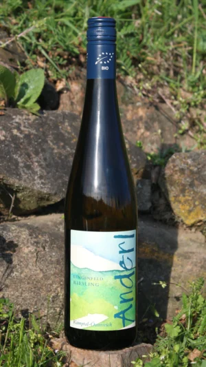 Flasche Bio Riesling Kamptal DAC 2024 vom Weinhof Anderl