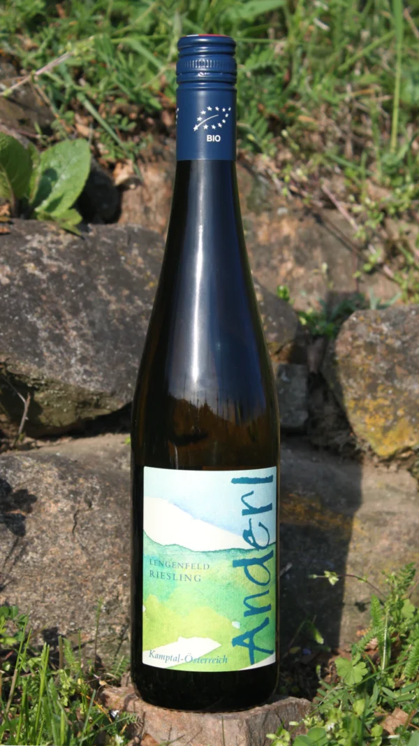 Bio Riesling Kamptal DAC 2024 – Weinhof Anderl Flasche Bio Riesling Kamptal DAC 2024 vom Weinhof Anderl