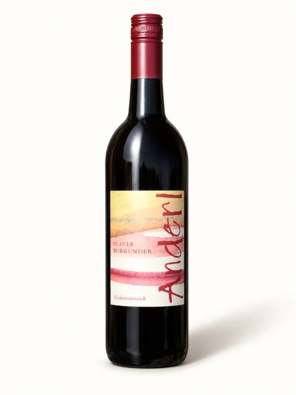 Flasche Blauer Burgunder 2011 vom Weinhof Anderl