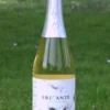 Flasche Frizzante Pinot weiß vom Weinhof Anderl