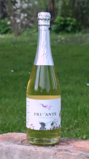 Flasche Frizzante Pinot weiß vom Weinhof Anderl