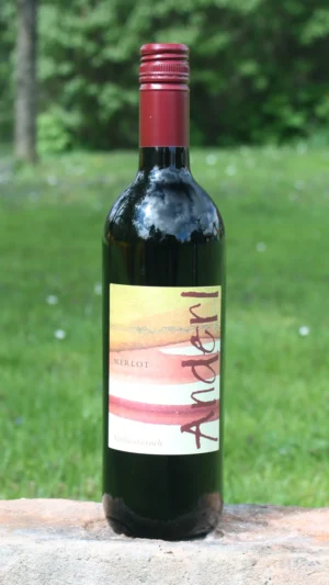 Flasche Merlot 2016 vom Weinhof Anderl