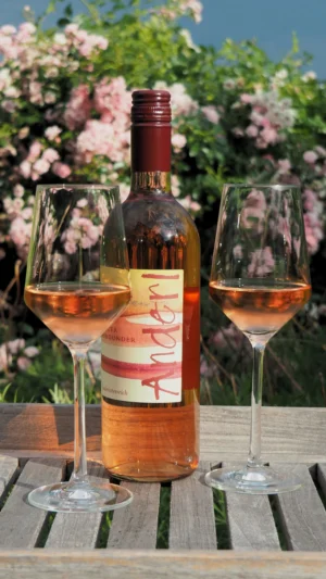 Roséweine vom Weinhof Anderl im Kamptal