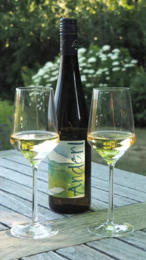 Weißweine vom Weinhof Anderl im Kamptal