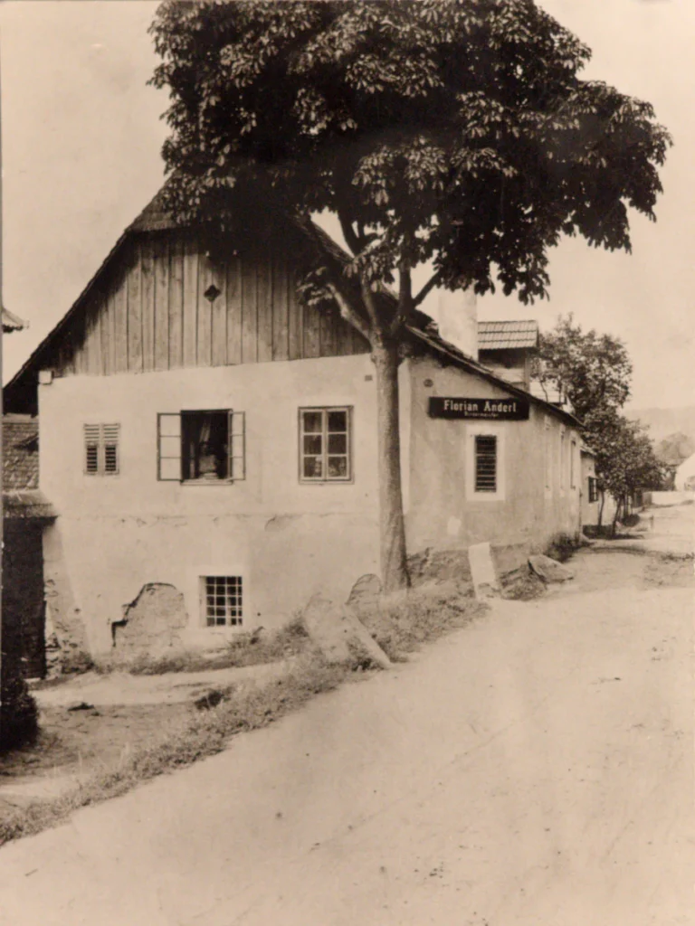 Historische Straßenansicht des Weinhofs Anderl mit einem großen Baum vor dem Haus